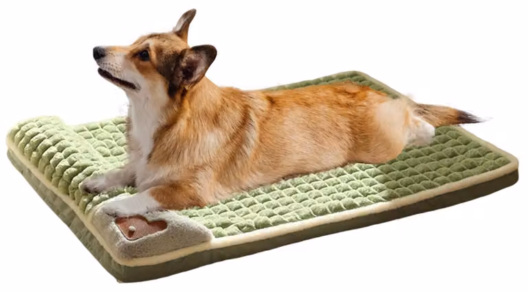 Solidchoice - Cuccia ortopedica per cani con coprimento removibile