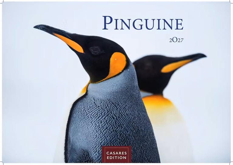 Calendario da parete 2027 con motivi di pinguini