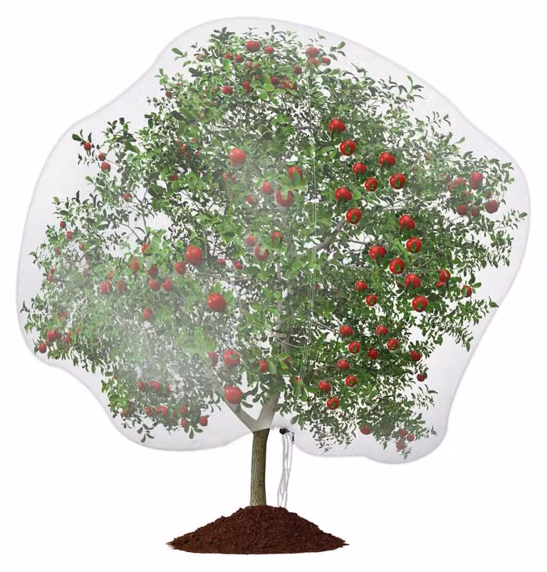Rete protettiva per insetti, ideale per giardini, alberi e piante. Tessuto a rete, dimensioni 3 x 3 metri, con cerniera
