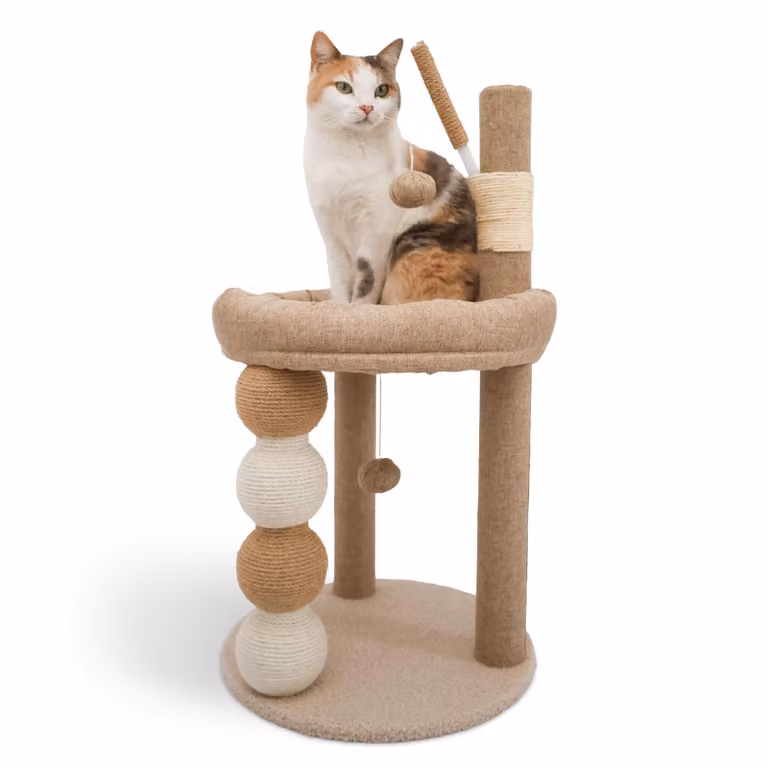 Tiragraffi beige per gatti, albero tiragraffi, torre tiragraffi, tiragraffi interattivi, mobili per gatti, gatti