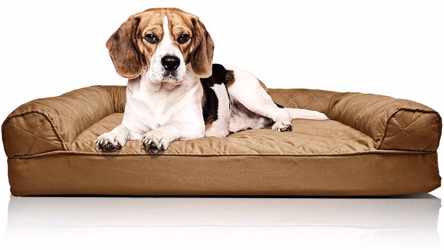 Letto ortopedico per cani di medie dimensioni, modello divano imbottito, con coperta rimovibile e lavabile