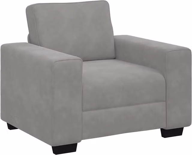 Divano moderno in velluto grigio con braccioli per soggiorno e camera da letto L: 100 cm, P: 77 cm, H: 82 cm