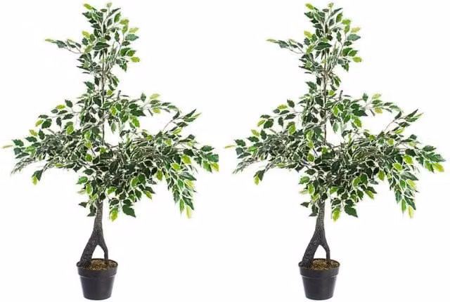 Set di 2 Piante Artificiali Ficus di GIORDANOSHOP con Vasi Verdi, Altezza: 120 cm