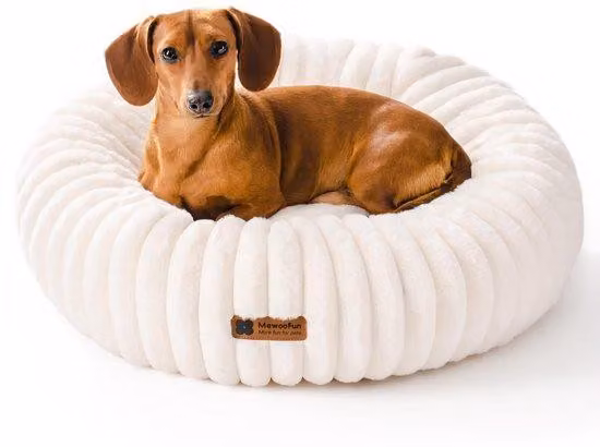 Cuccia per cani di medie dimensioni, lavabile, a forma di ciambella, con fondo antiscivolo, ideale anche per gatti, morbida, rilassante, antistress, bianca, 64x64 cm