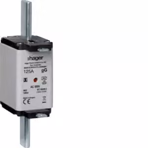 Cartuccia fusibile NH NH2C gG 500 V 125 A con segnalatore combinato e linguetta isolata