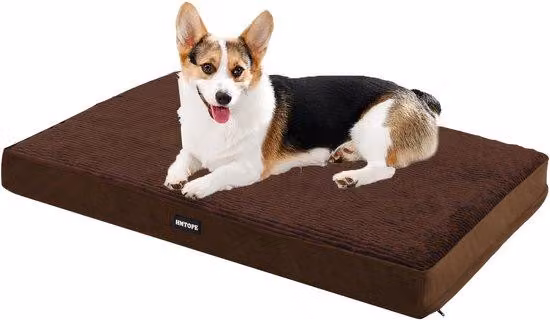 Cuccia ortopedica per cani, spessore 9 cm, marrone, lavabile, antiscivolo