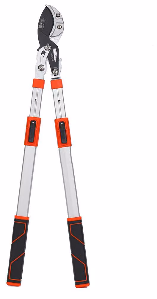 Telescopio-astigmatore da 65 a 100 cm, acciaio SK5, con sistema di trasmissione