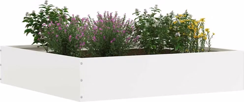 Bordura per Prato Bianco 60 x 60 x 13 cm Acciaio