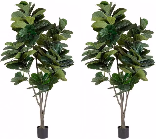 Set 2 Piante Artificiali di Ficus Ø120x230 cm in Plastica con Vasi Verde