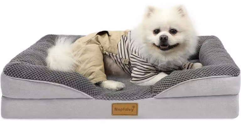 Cuccia ortopedica per cani, lavabile, con imbottitura in schiuma a forma di uovo, bordo rialzato, base antiscivolo, colore grigio chiaro/grigio scuro, dimensioni 76x55 cm, taglia media