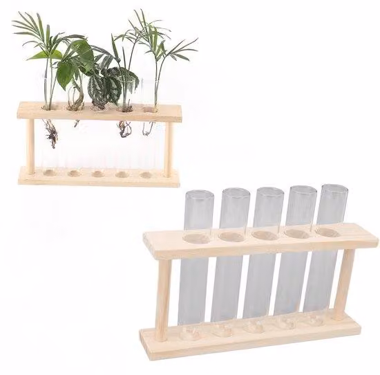Vasi trasparenti in vetro per piante, set da 5 pezzi - struttura in legno - terrario con supporto - accessorio per la casa - dimensioni: 22 x 12,5 x 4,5 cm
