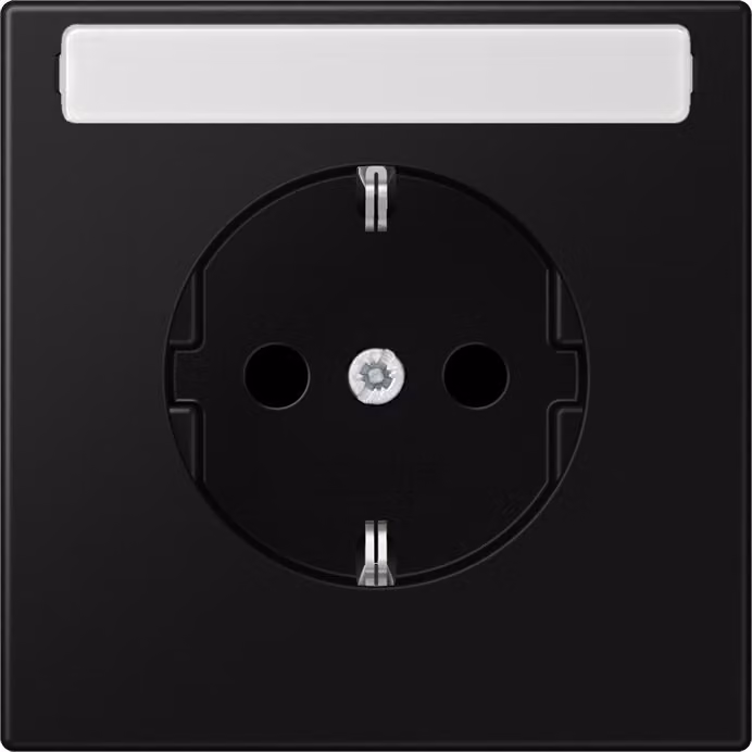 JUNG LS 1520 KINA SWM Presa di corrente tipo F Nero (LS1520KINASWM)