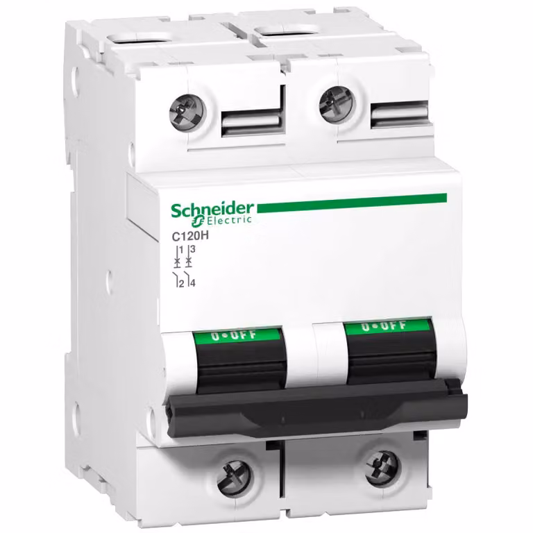 Interruttore automatico Schneider Electric C120H, 2 poli, 125 A, caratteristica D, 15 kA A9N18503