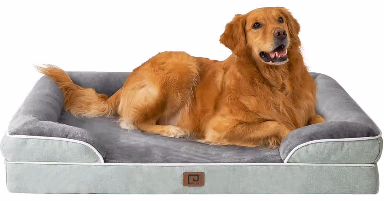Cuccia ortopedica per cani, taglia XL, 112x81 cm, realizzata in memory foam, con cestino lavabile, impermeabile e antiscivolo, colore grigio-verde