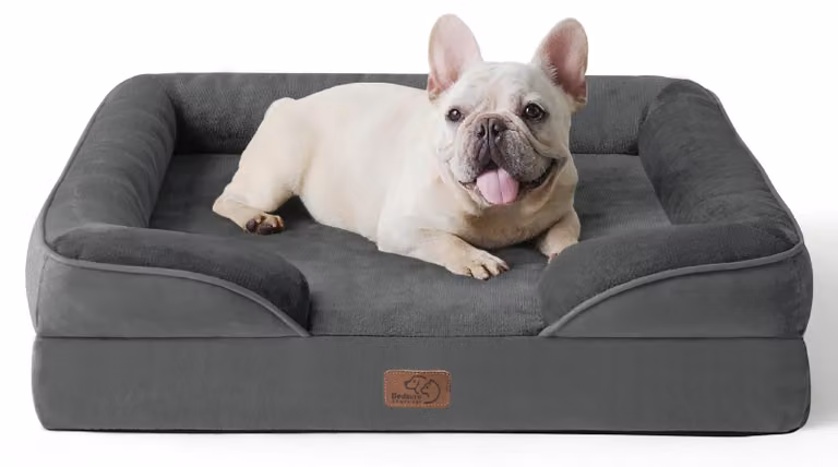 Cuccia ortopedica per cani di piccola taglia