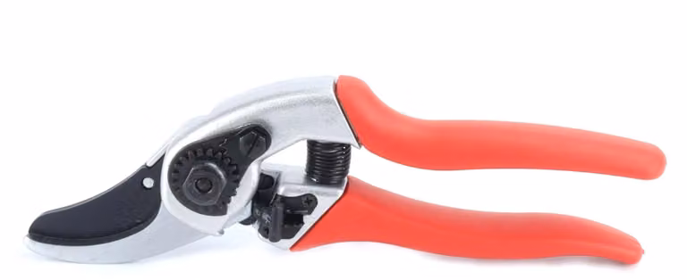 Forbice da potatura, 210 mm - Manico ergonomico - Compatta e leggera