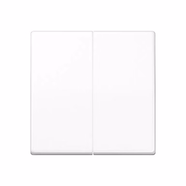Pulsante di controllo Jung 2-gang standard AS1702WW (AS1702WW)