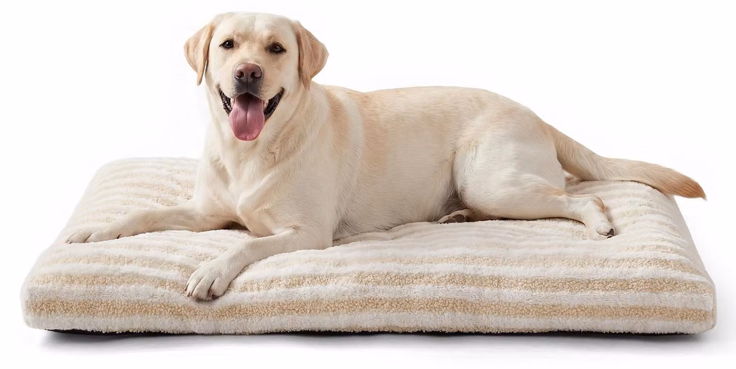 Solidchoice - Cuccia per cani morbida e confortevole, lavabile e traspirante