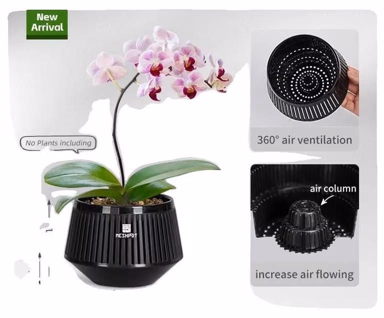 Vaso per orchidee, design a sezione aerea, estetica moderna, nero – 1 pz. 12 cm