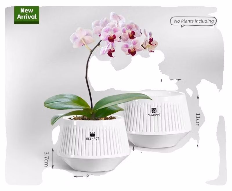 Vaso per orchidee, design a sezione aerea, estetica moderna, bianco – 2 pezzi da 12 cm