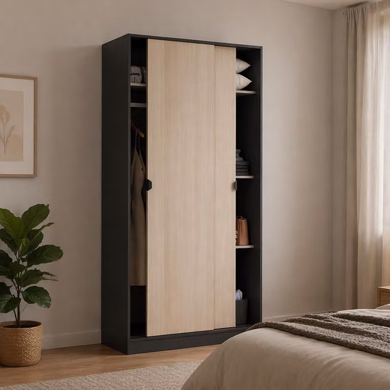 Dmora Guardaroba 2 Ante Bucksport 50x200h cm Grigio Antracite, Appendiabiti 2 Ante