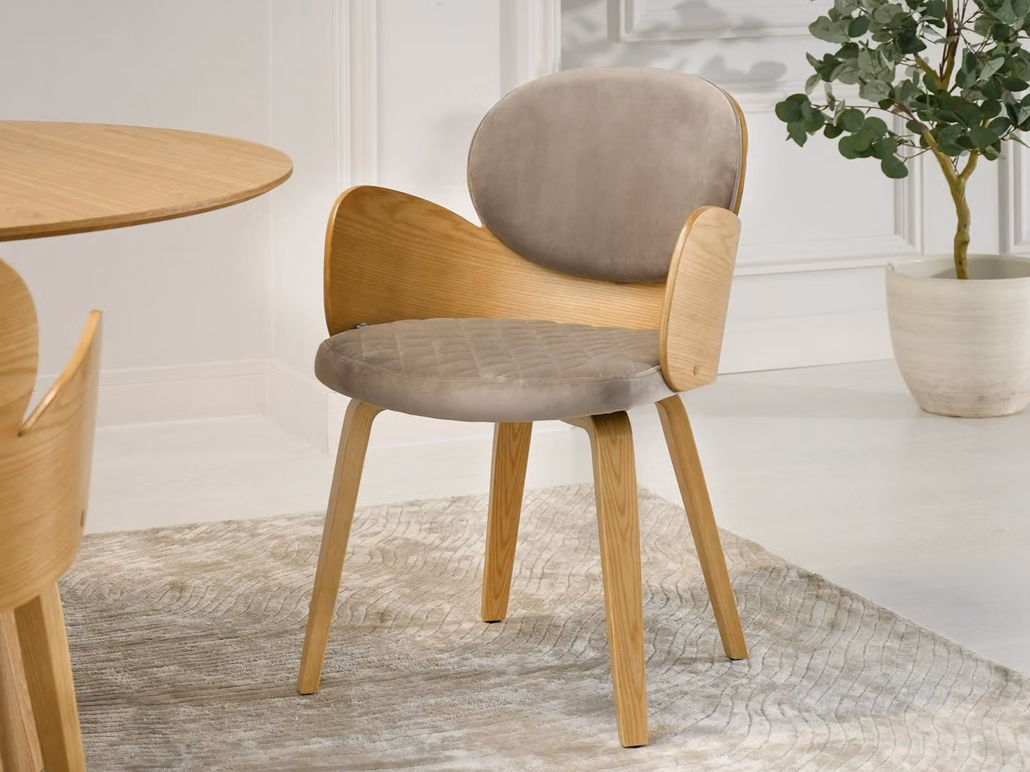 Sedia da pranzo di design RAWAN - rovere / beige