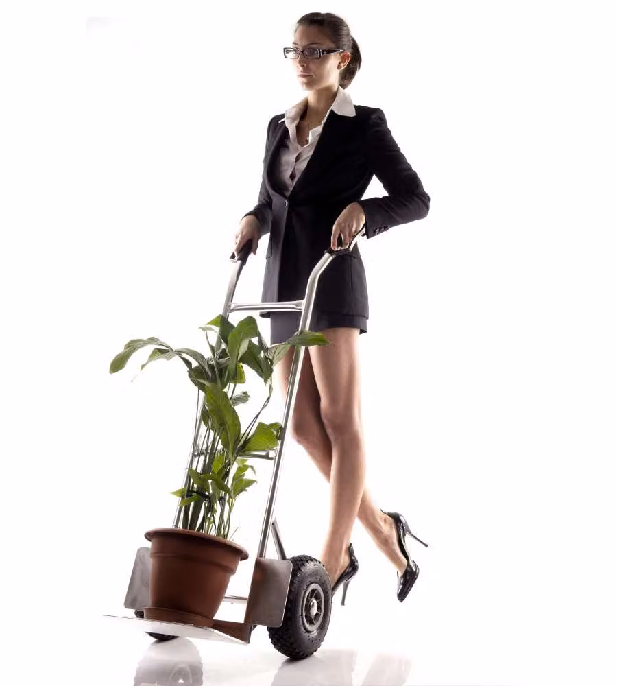 Carrello Alluminio 150 Kg
