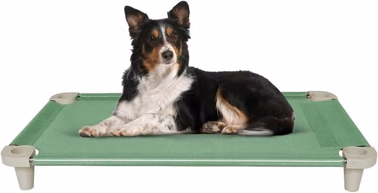 Letto rialzato per cani, in rete, dimensioni 102x61x11 cm, colore verde, lavabile