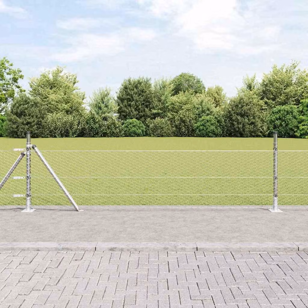 Maison Exclusive - Palo della recinzione Argento 10 x 0,5 m (rete da 25 mm)