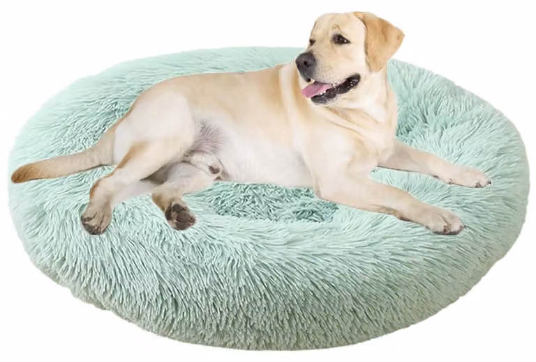 Cuccia per cani, cuccia per gatti, forma a ciambella, rotonda, diametro 50 cm, colore verde frutta, lavabile