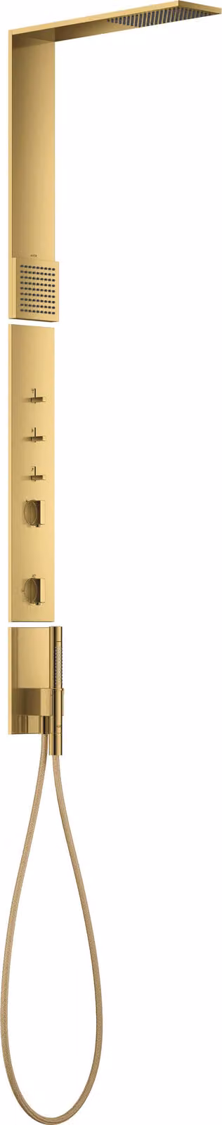 hansgrohe AXOR ShowerComposition Panneau de douche, avec thermostat, douche de tête 110/220, douchette dépaule, accessoires inclus, 12595990, 12595990