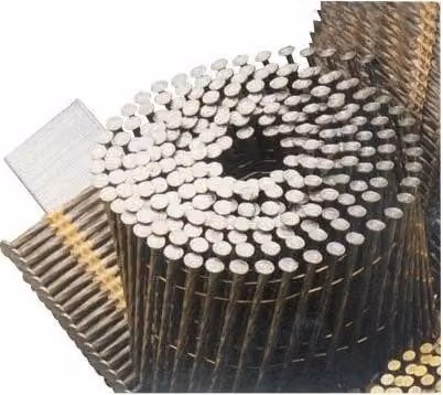 Bostitch F-COILNAGEL 2.50-70 ANELLO Q 9M