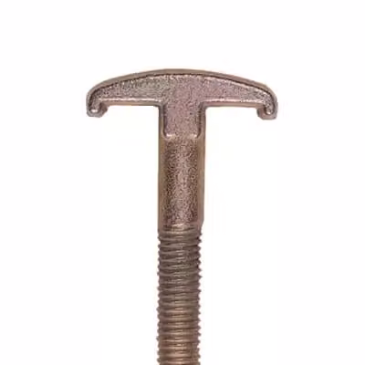 Striebel e John Vite a testa ad uncino ZX201 M10x100 Accessori 2CPX060246R9999