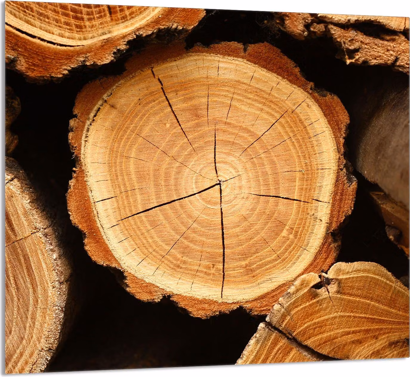 GLASPLATTE FÜR KÜCHE 65x60 Holz