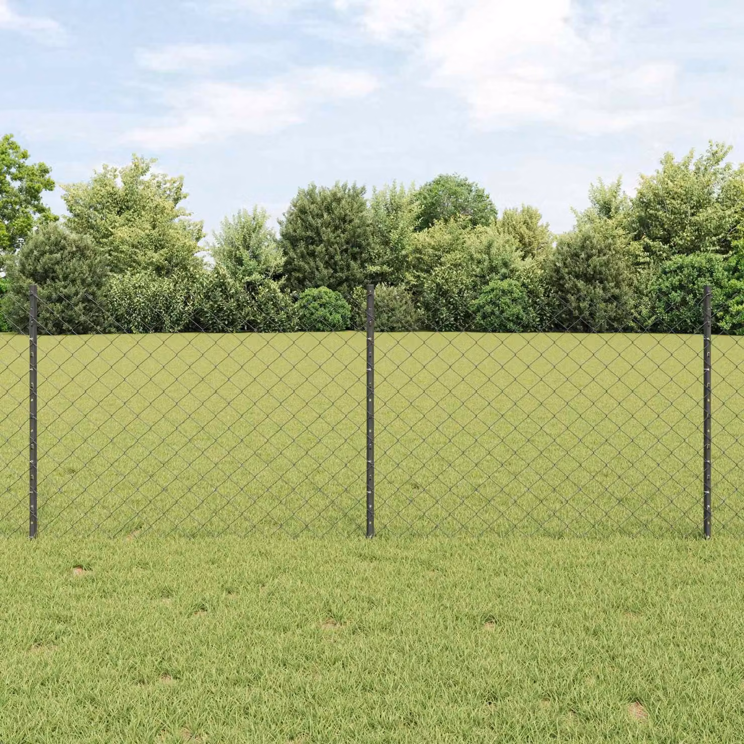 Maison Exclusive - Recinzione con Posto Grigio 0,8 x 25 m Acciaio