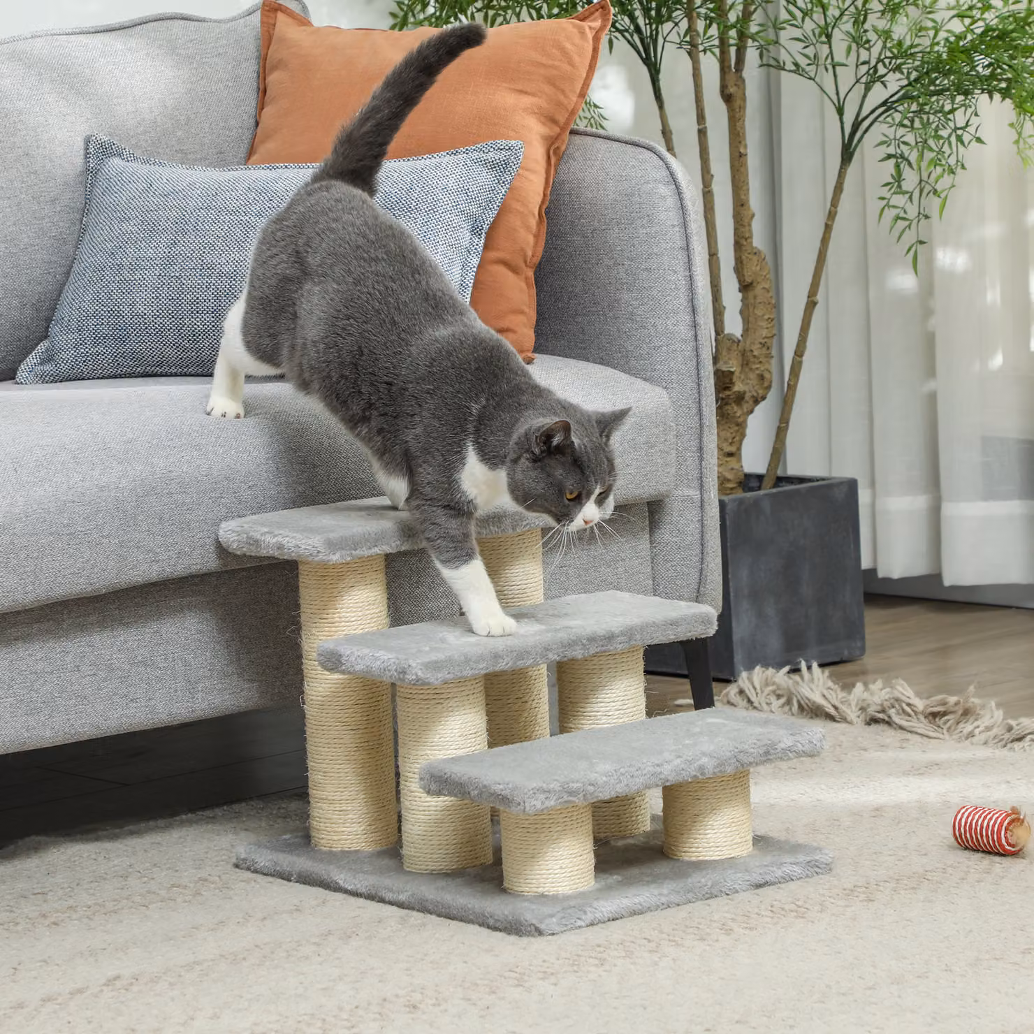 Scala per cani e gatti a 3 gradini PawHut, Grigio e Beige, Altezza: 34 cm – 2
