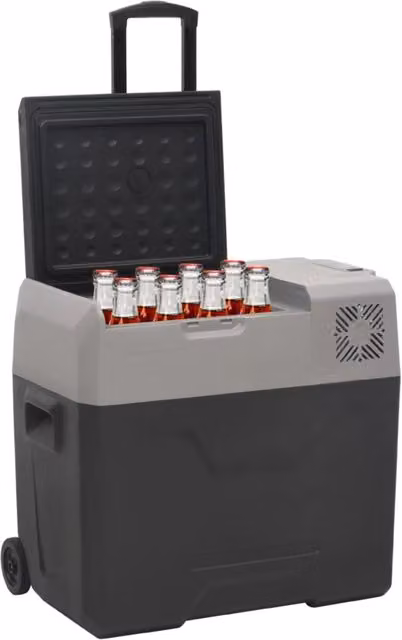 Borsa Frigo con Manico e Ruote vidaXL in Plastica, Nera e Grigia, 38 L – 1