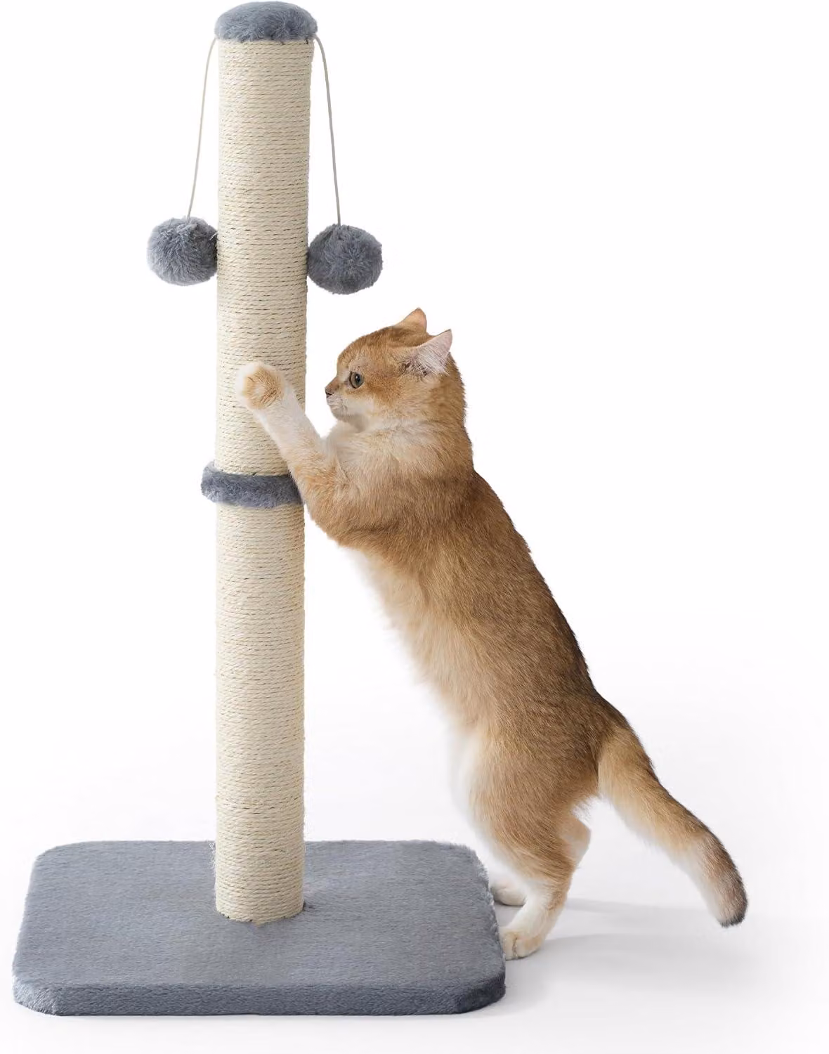 Albero per graffiare per gatti domestici, in sisal, dimensioni 36x36x74 cm, con pallina giocattolo