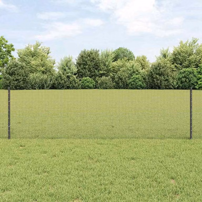 Recinzione in rete saldata con palo 10 x 0,6 m (L x H)