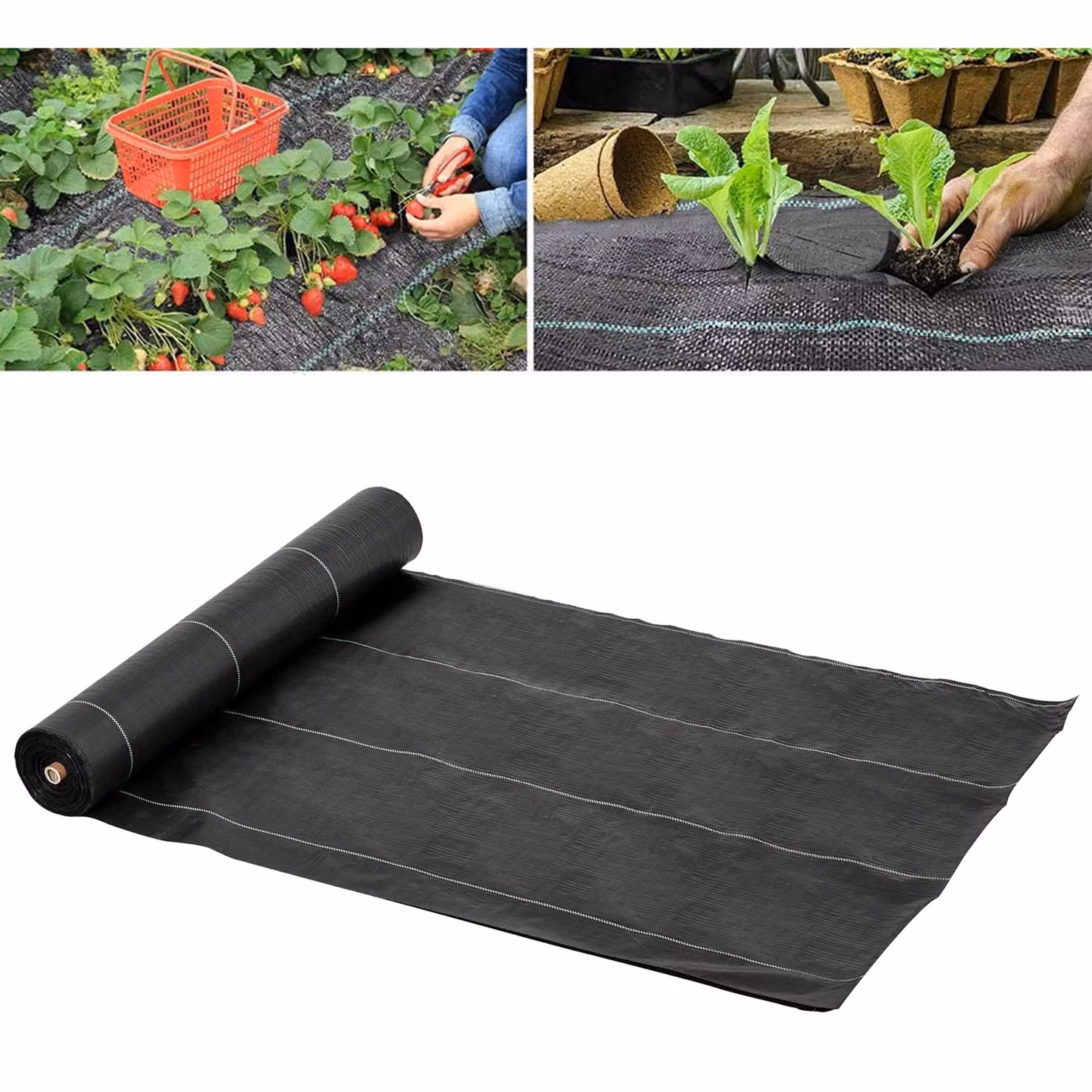 Telo pacciamatura nero Outsunny per orto e giardino, drenante e traspirante, L: 2 m, P: 50 cm – 2