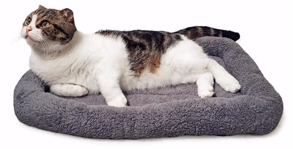 Omgoods - Cuscino morbido per cani e gatti, grigio, 45 x 60 cm