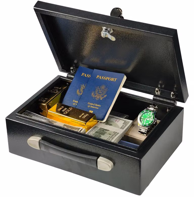 Cassaforte portatile con maniglia per la conservazione sicura