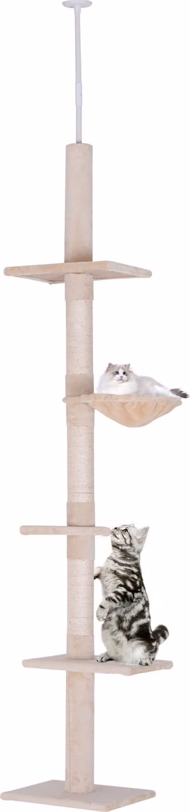 Tiragraffi alto fino al soffitto, H 230-260 cm, albero da arrampicata per gatti regolabile in altezza, stabile, beige,