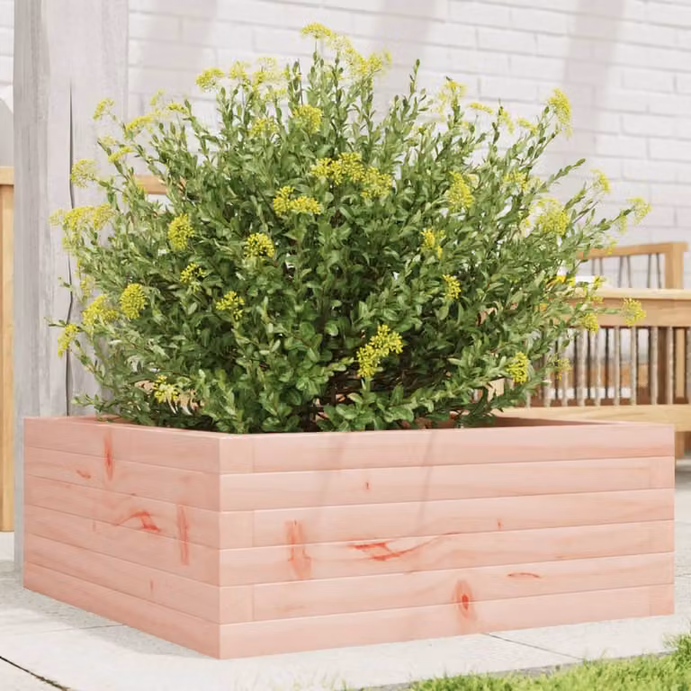 vidaXL Fioriera da Giardino in Legno di Douglas, Marrone e Rosa, L/P/H: 60 x 60 x 23 cm