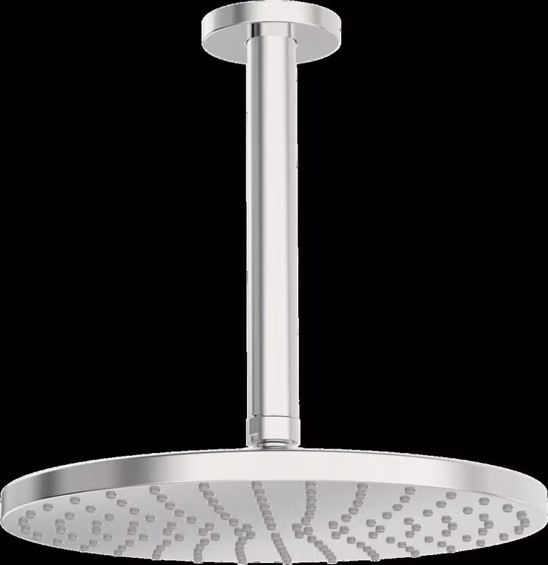 HANSA HANSAVIVA Douche de tête, ronde, diamètre 250mm, 1 jet, montage au plafond, 44270200, 44270200