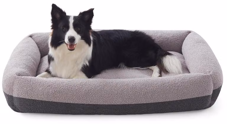 Cuccia per cani, lavabile, con rivestimento removibile, color grigio chiaro, taglia L, dimensioni 76x61x20 cm