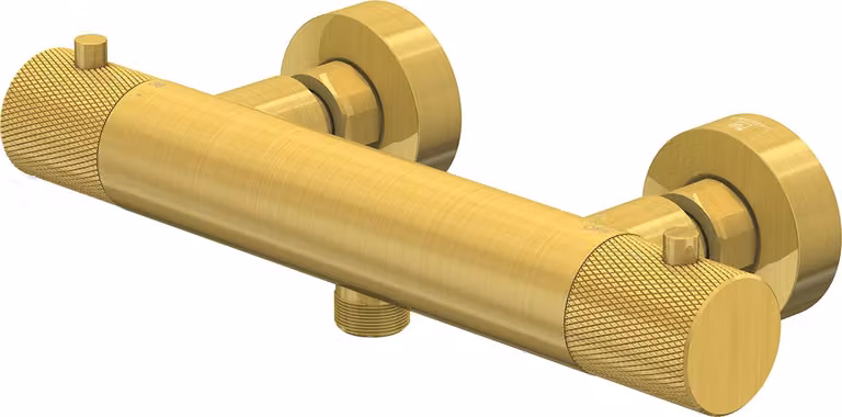 Steinberg Série 171 Thermostat, pour douche, apparent, 1713200BG, 1713200BG