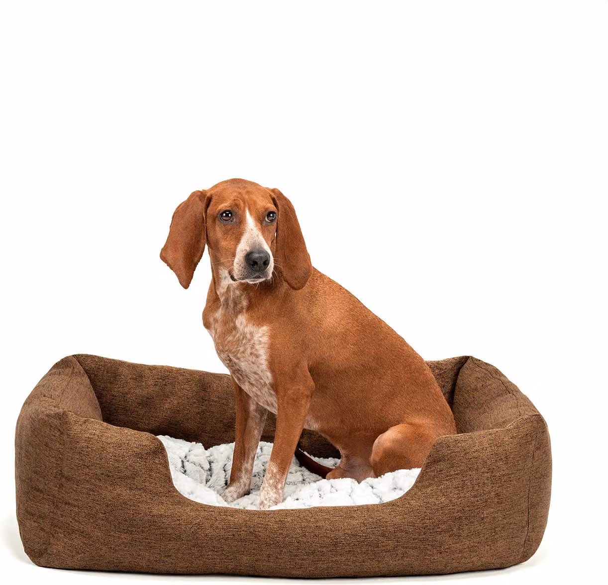 lettino per cani lionto, accogliente letto per cani con cuscino reversibile e rimovibile, base antiscivolo, 80x60 cm, marrone