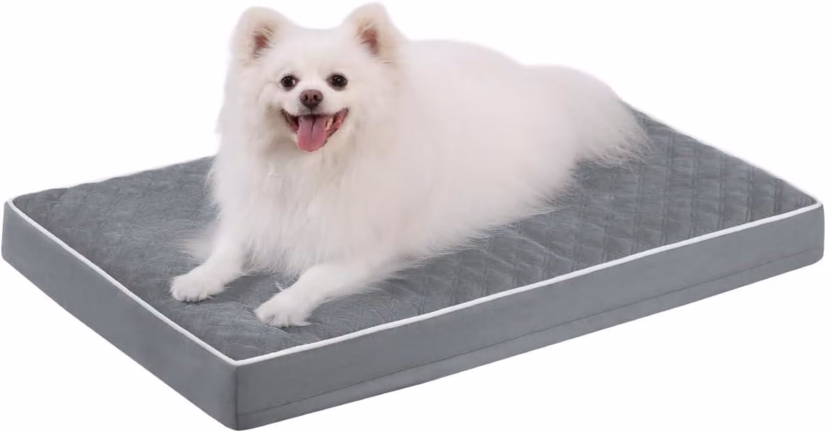 Cuccia ortopedica per cani, 88x55x7 cm, color grigio scuro, adatta a cani di taglia media, lavabile e impermeabile