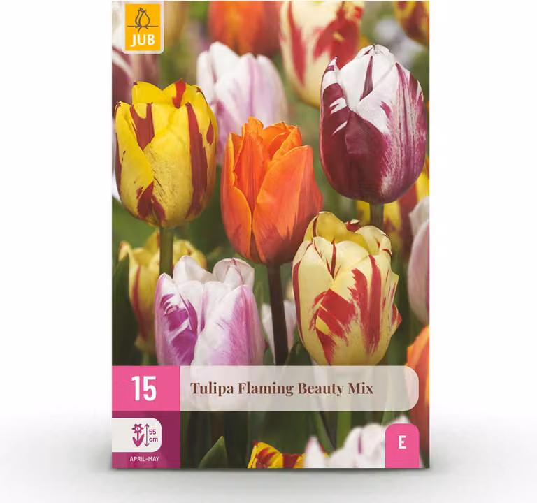 Bulbi da fiore - Tulipano 'Flaming Beauty mix' - Vari colori - 15 pezzi - Bulbo 11/12 - 20-50cm - Ø5cm - Pianta da giardino - Multideal